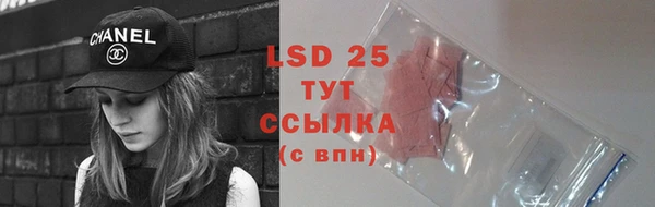 индика Армянск