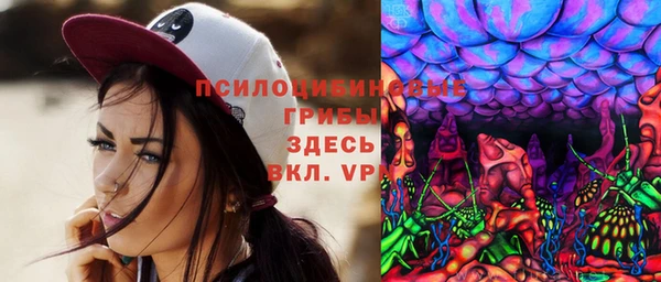 индика Армянск