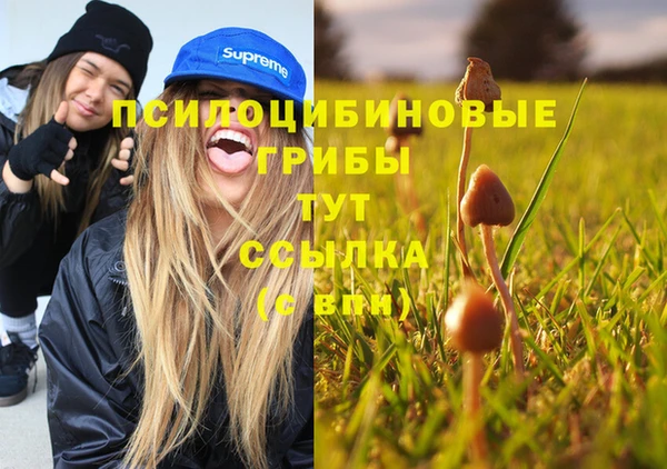 2c-b Арсеньев